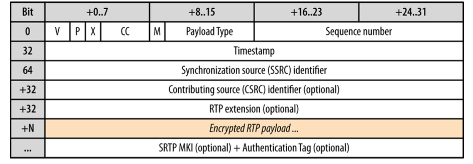 SRTP_header__12_bytes_+payload_and_optional_fields