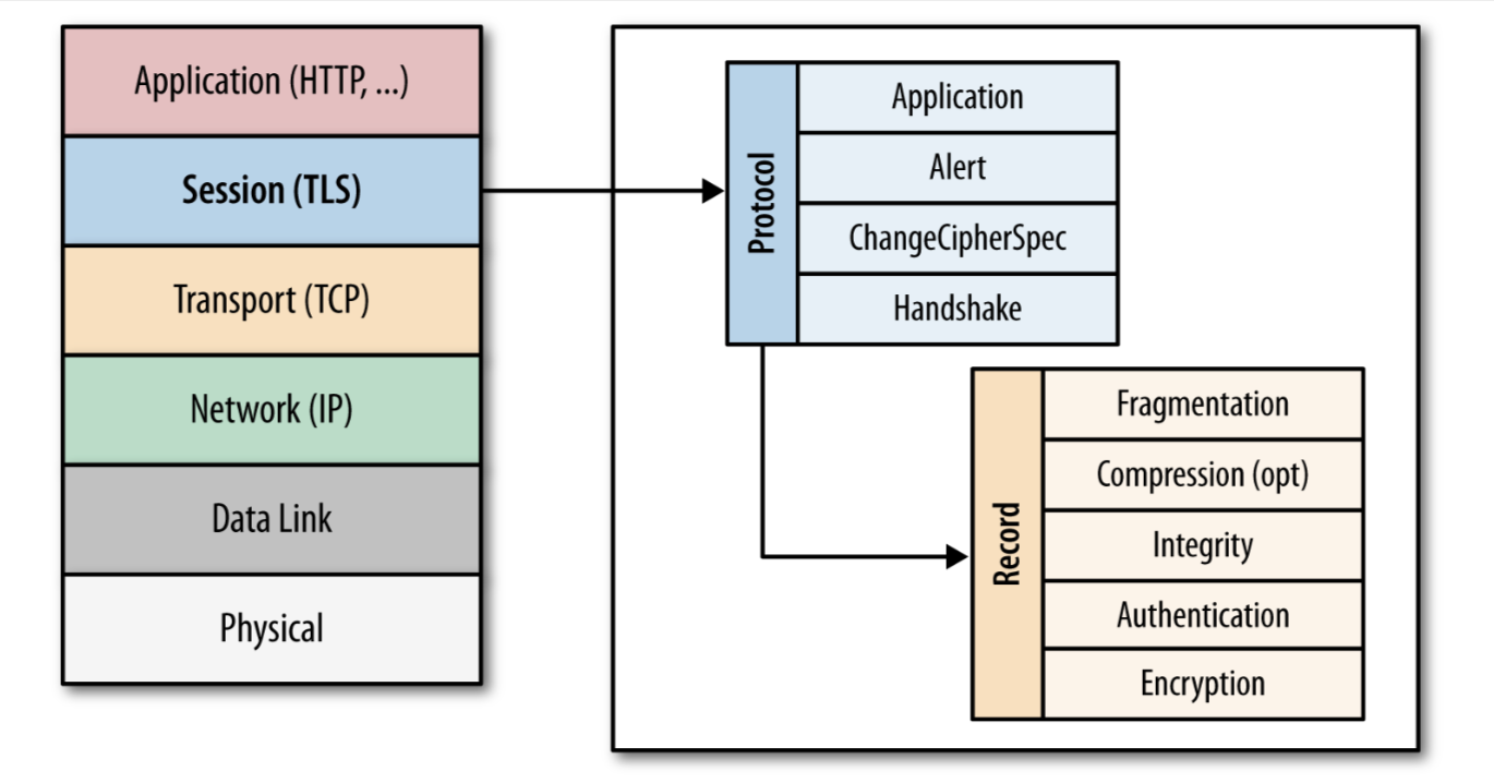 Transport_Layer_Security__TLS_